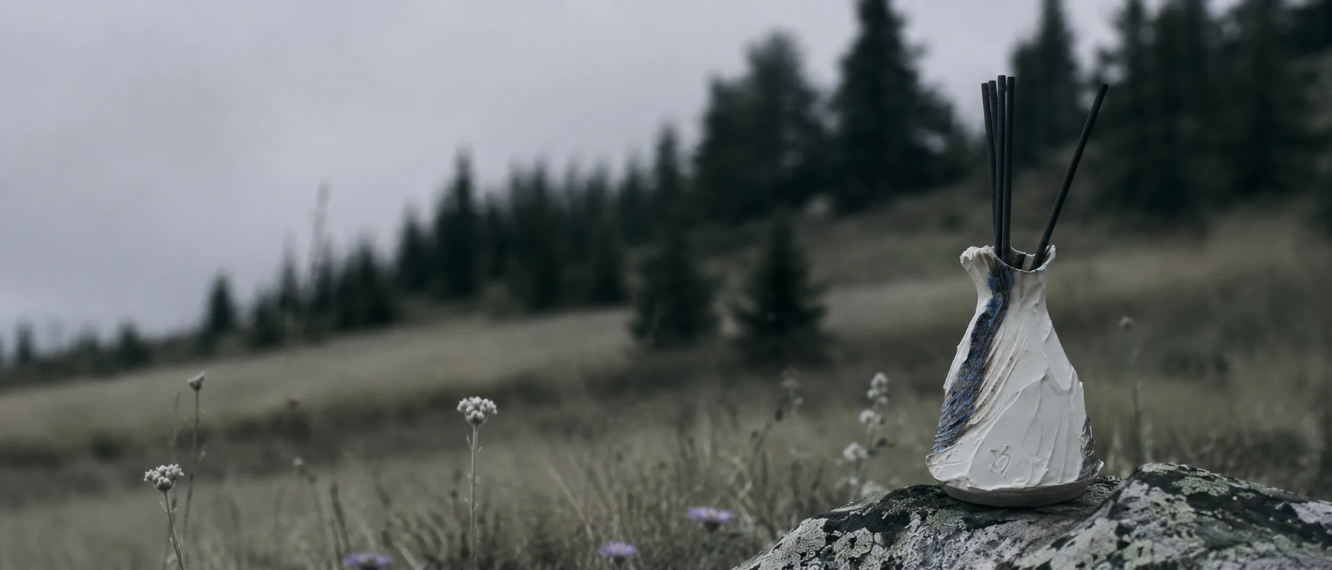 A Valdaire vessel standing in an alpine meadow