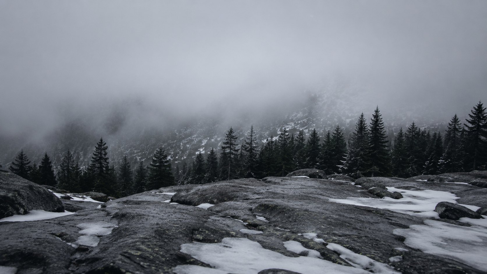 Mist over an alpine slope where bare granite and snow give way to dark firs